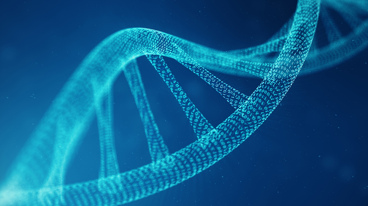 Artifical intelegence DNA molecule. DNA is converted into a binary code. Concept binary code genome. Abstract technology science, concept artifical Dna, 3D illustration