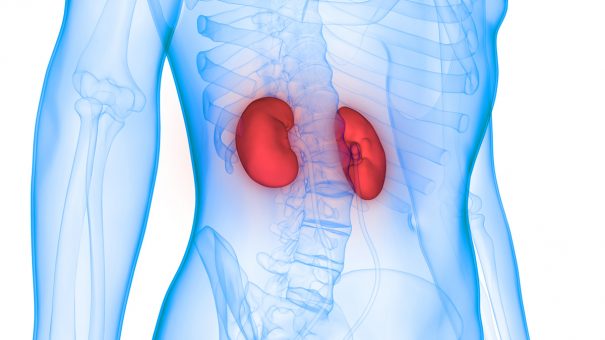 Beyond glucose in type 2 diabetes: how Novo Nordisk is looking to address chronic kidney disease