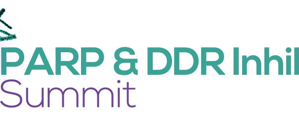HW191001 PARP & DDR Inhibitors Summit logo