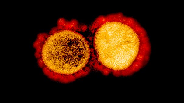 Coronavirus news roundup 09/04/2020