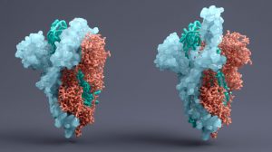 EMA starts review of GSK/Vir COVID-19 antibody