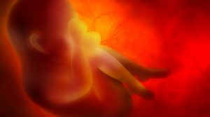 VivoPlex raises funding to develop intra-uterine sensor
