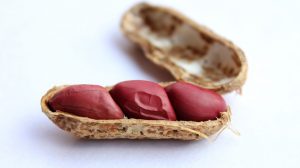 NICE backs Aimmune’s peanut allergy drug Palforzia for children