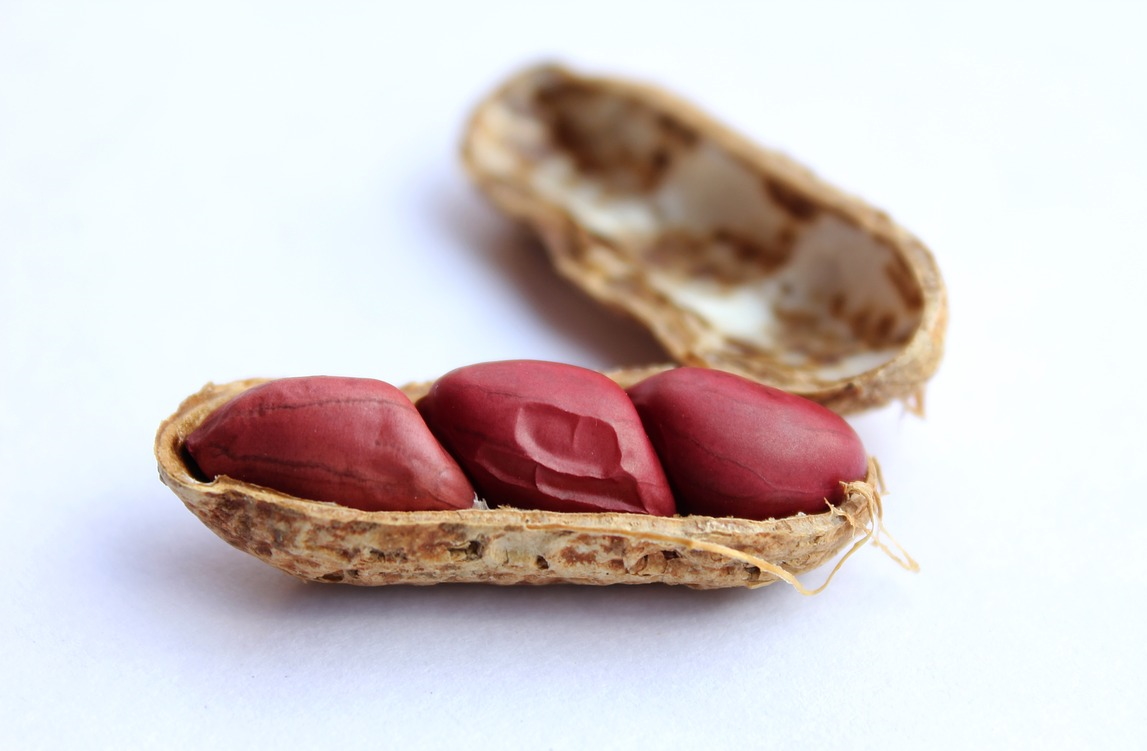 After FDA snub, DBV charts a new course for Viaskin peanut