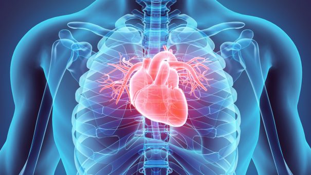 Towards a new understanding of cardiovascular risk in diabetes
