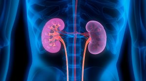 Renal disease: the big picture