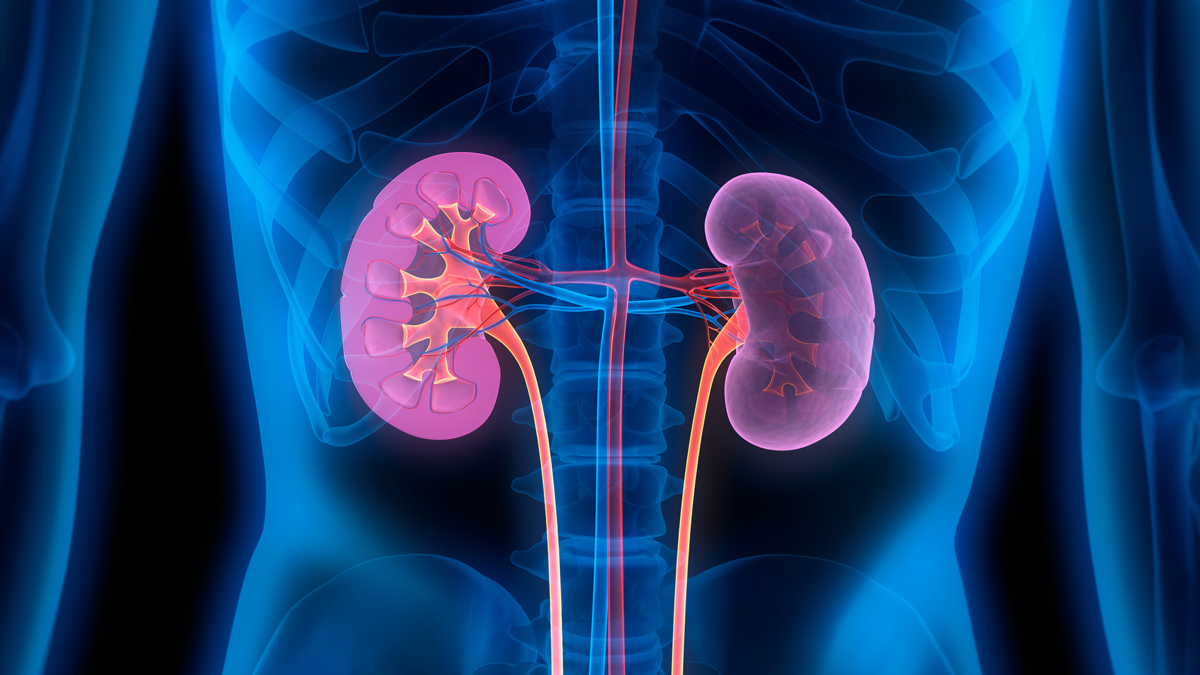 Study warns of chronic kidney disease timebomb