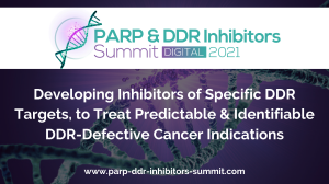 PARP & DDR Inhibitors Summit 2021