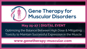 Gene Therapy for Muscular Disorders