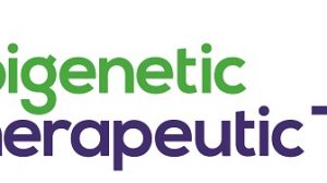 Epigenetic Therapeutic Targets Summit