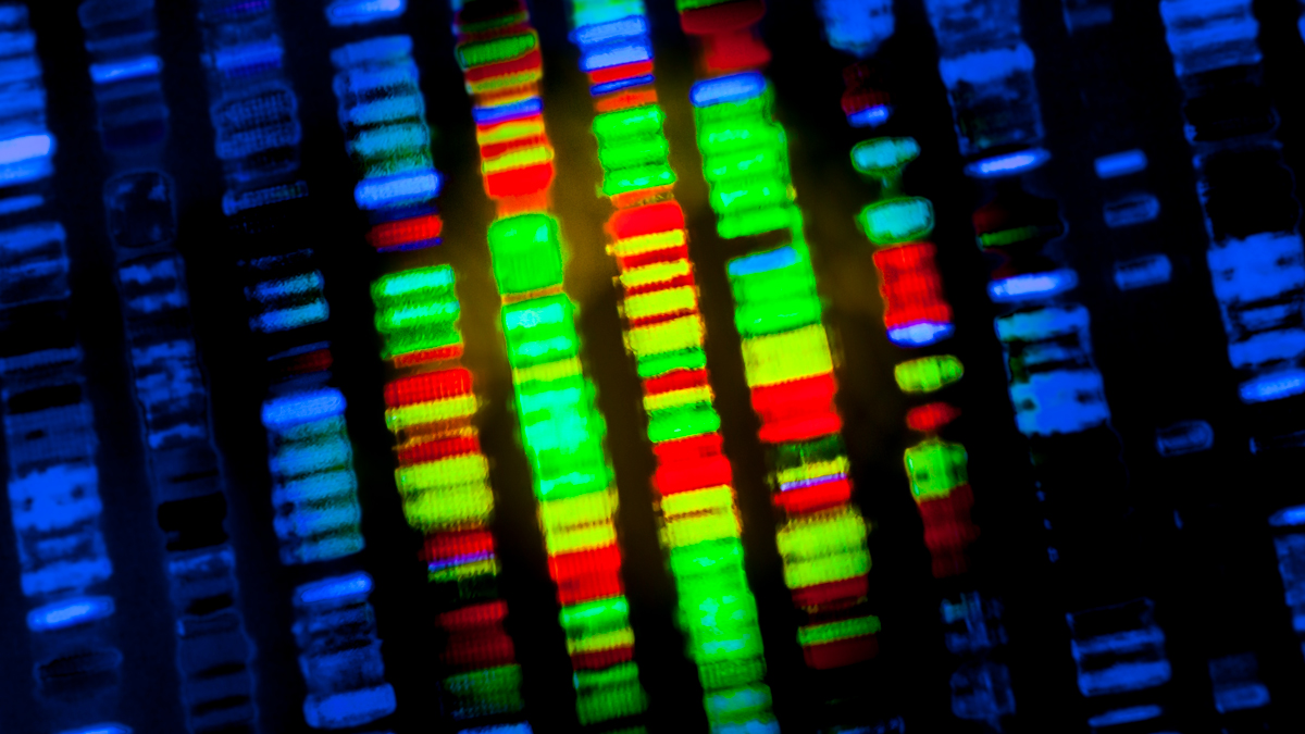 DeepMind applies its AI expertise to genetic diseases