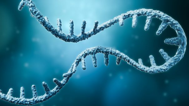 2021: the year mRNA therapeutics came of age