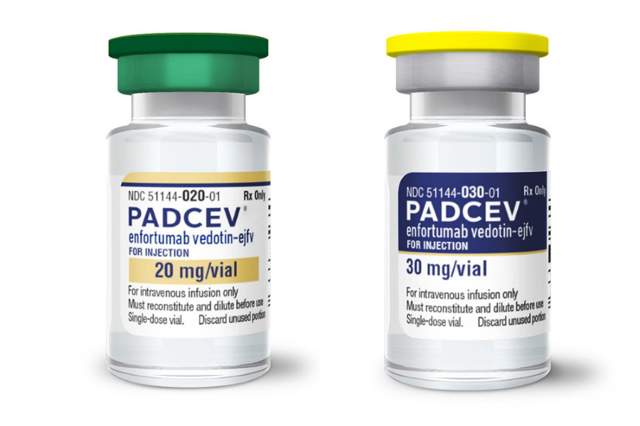 FDA starts review of Padcev/Keytruda for bladder cancer