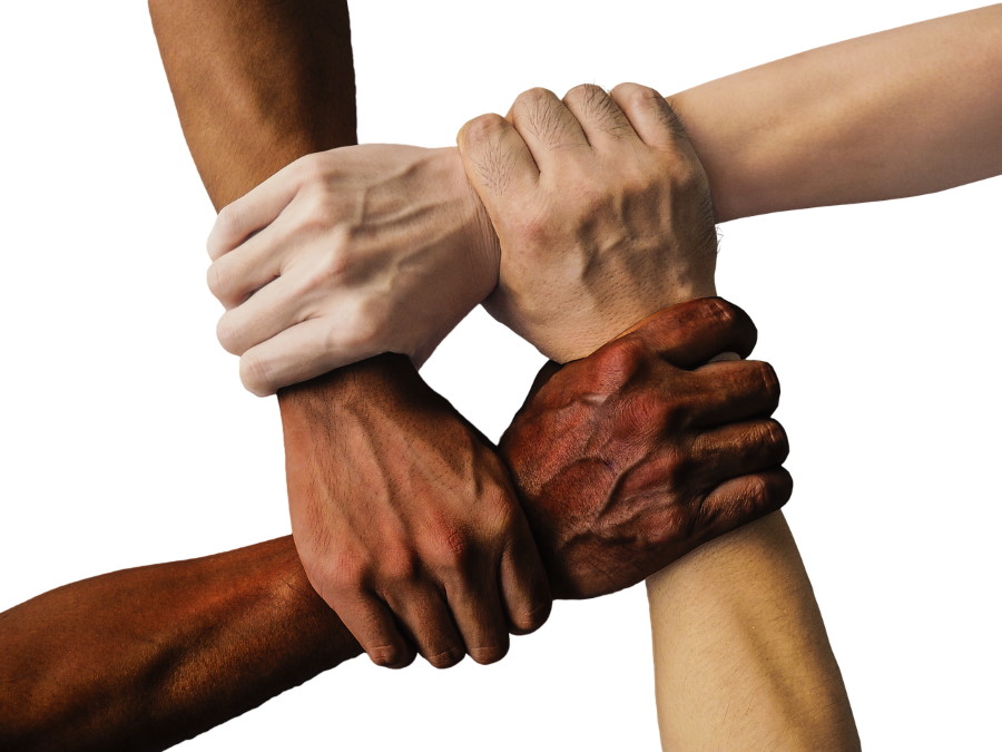 hands_diversity_representation