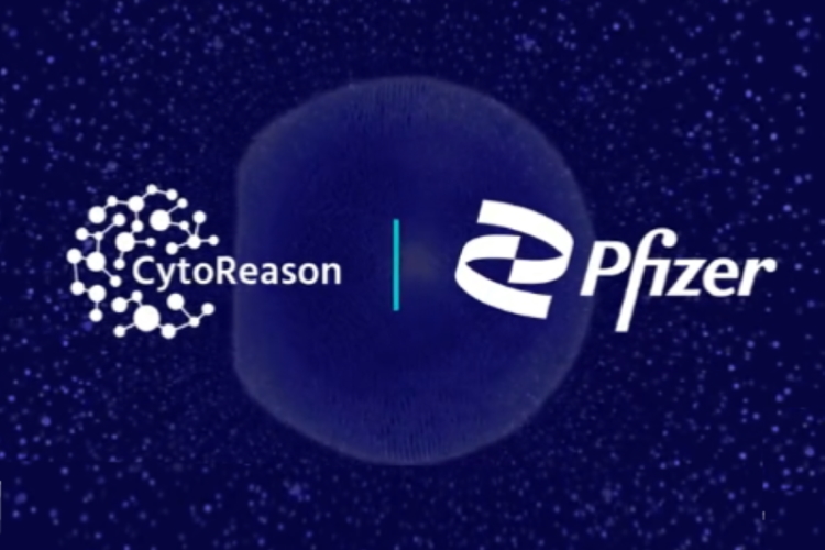 CytoReason_Pfizer