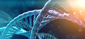2019-Gene-Therapy-Muscular-Dystrophy_ProgFeature_IMG