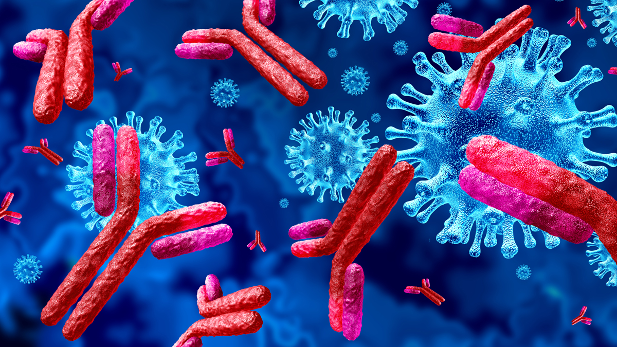 Immunoglobulin