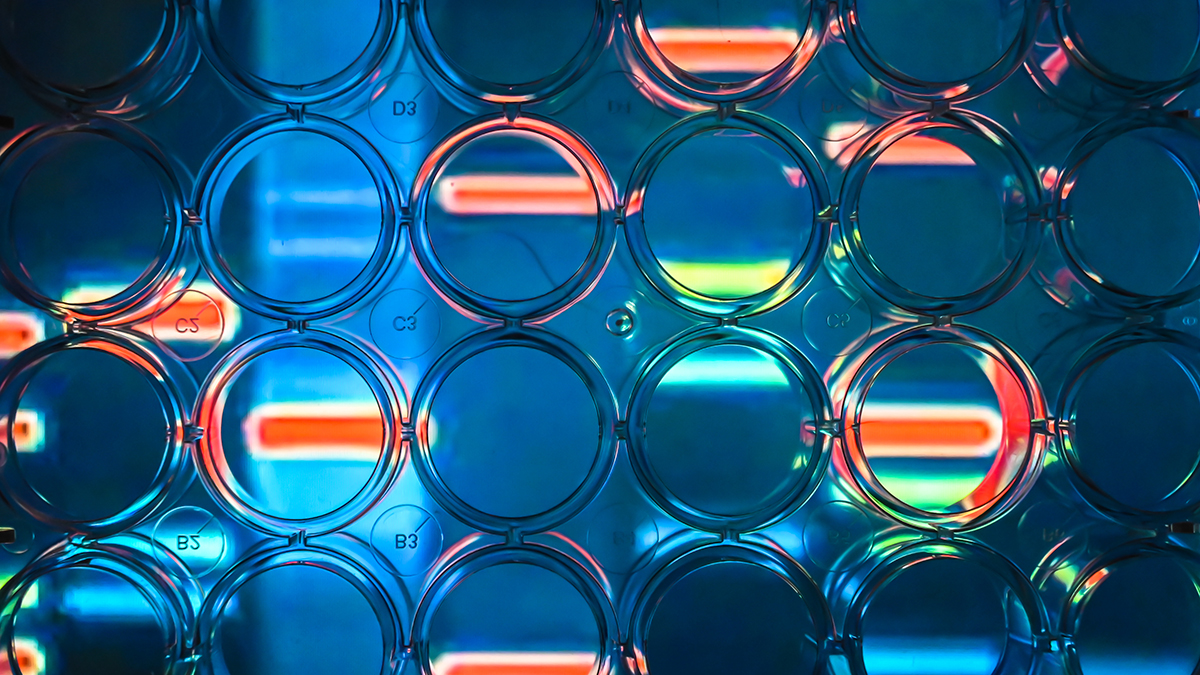Abstract background - genome research. A look through a 24-well plate.