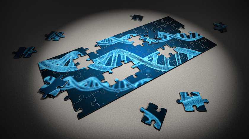 genetic data puzzle